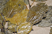 Detalle 3